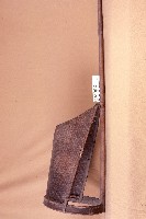 藏品(水杓)的圖片