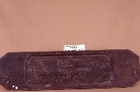 藏品(米篩木板)的圖片