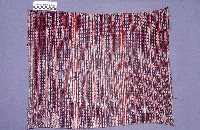 藏品(布)的圖片