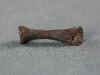 藏品(竹筒(骨))的圖片