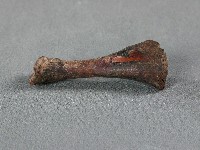 藏品(竹筒(骨))的圖片