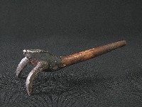 藏品(煙斗頭)的圖片