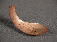 藏品(貝匙)的圖片