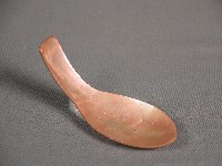 藏品(貝匙)的圖片