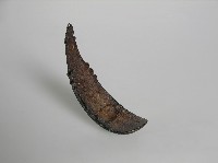 藏品(刻匙)的圖片