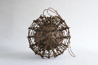 藏品(刺球)的圖片