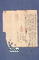 藏品(契約書)的圖片