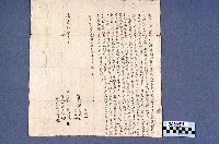 藏品(契約書)的圖片