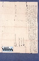 藏品(契約書)的圖片