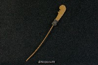 藏品(武器)的圖片