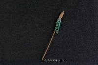 藏品(武器)的圖片