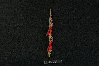 藏品(武器)的圖片