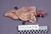 藏品(道具-雞)的圖片