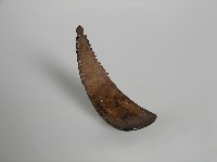 藏品(匙 )的圖片