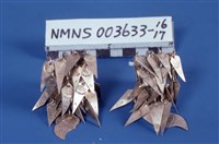 藏品(銀耳環)的圖片