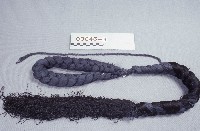 藏品(髮辮)的圖片