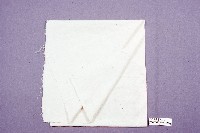 藏品(白布包頭帕)的圖片