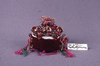 藏品(兒童涼帽)的圖片