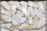 藏品(半扭魁蛤)的圖片