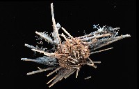 藏品(雙列角頭帕)的圖片