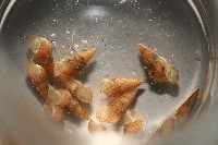 藏品(閃紋糟糠螺)的圖片