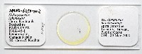 藏品(新種鯊魚絛蟲-02)的圖片