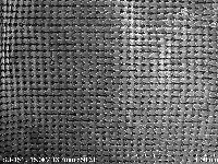 藏品(白玉蝸牛)的圖片