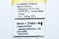 藏品(新種絛蟲)的圖片