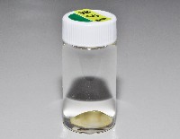 藏品(黃寶螺)的圖片