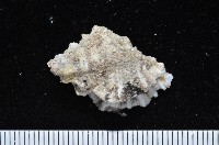 藏品(編織結螺)的圖片