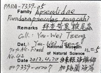 藏品(邦查奇異鞭尾蟲(新種))的圖片