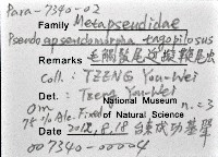 藏品(毛觸鬚偽近鞭尾蟲)的圖片