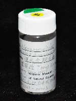 藏品(漢氏合鞭尾蟲)的圖片