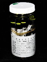 藏品(漢氏合鞭尾蟲)的圖片