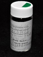 藏品(漢氏合鞭尾蟲)的圖片