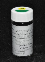 藏品(漢氏合鞭尾蟲)的圖片