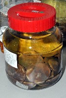 藏品(富士餅乾海膽)的圖片