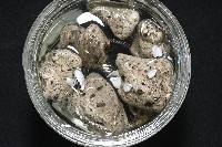 藏品(鵝茗荷)的圖片