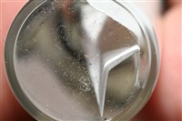 藏品(鐮形異細螯蟲)的圖片