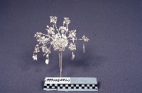 藏品(銀簪)的圖片