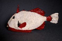 藏品(魚皮)的圖片