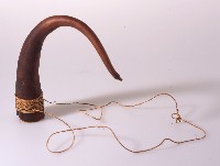 藏品(陽物套)的圖片