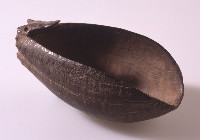 藏品(湯匙)的圖片