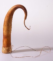 藏品(陽物套)的圖片