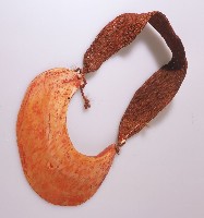 藏品(貝飾)的圖片