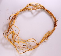 藏品(飾物)的圖片