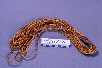 藏品(飾物(項))的圖片