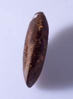 藏品(石錛)的圖片