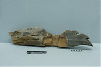 藏品(屋宅構件)的圖片