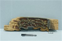 藏品(屋宅構件)的圖片